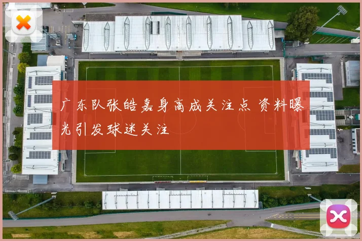 广东队张皓嘉身高成关注点 资料曝光引发球迷关注