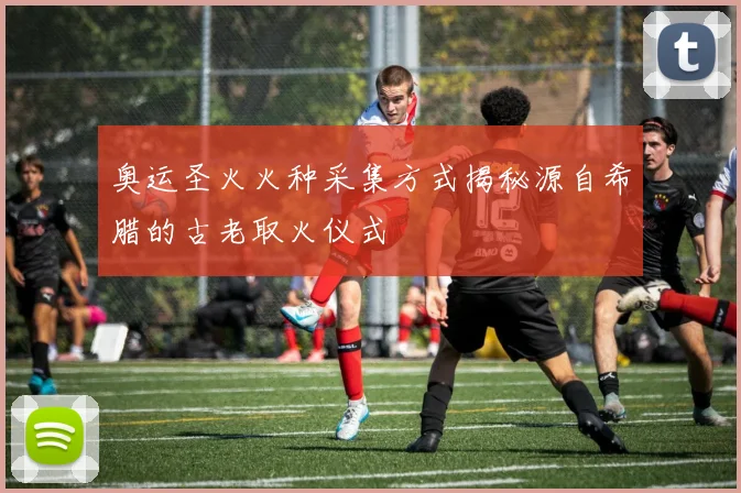 奥运圣火火种采集方式揭秘源自希腊的古老取火仪式