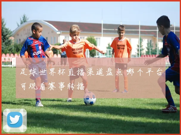 足球世界杯直播渠道盘点 哪个平台可观看赛事转播