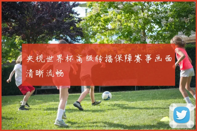 央视世界杯高级转播保障赛事画面清晰流畅