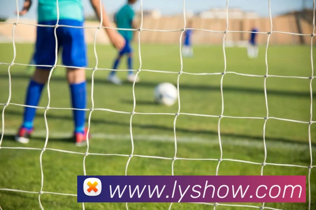 世界杯官方网络平台APP 体育赛事宣传图